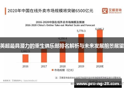英超最具潜力的重生俱乐部排名解析与未来发展前景展望 英超最具潜力的重生俱乐部排名解析与未来发展前景展望