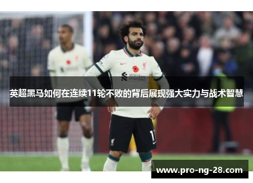 英超黑马如何在连续11轮不败的背后展现强大实力与战术智慧 英超黑马如何在连续11轮不败的背后展现强大实力与战术智慧