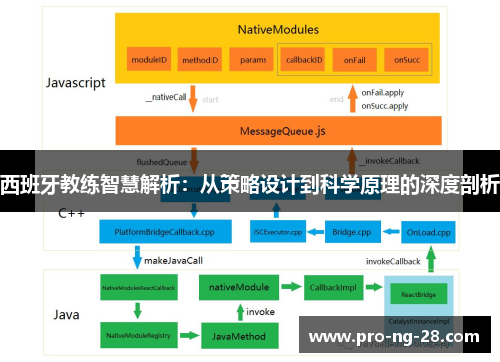 西班牙教练智慧解析：从策略设计到科学原理的深度剖析