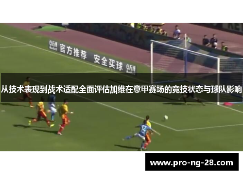 从技术表现到战术适配全面评估加维在意甲赛场的竞技状态与球队影响