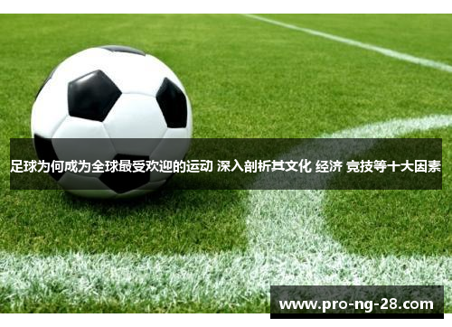 足球为何成为全球最受欢迎的运动 深入剖析其文化 经济 竞技等十大因素