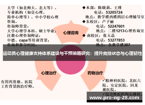 运动员心理健康支持体系建设与干预策略研究:提升竞技状态与心理韧性 运动员心理健康支持体系建设与干预策略研究:提升竞技状态与心理韧性